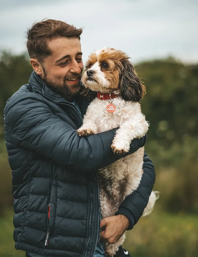 犬と男性