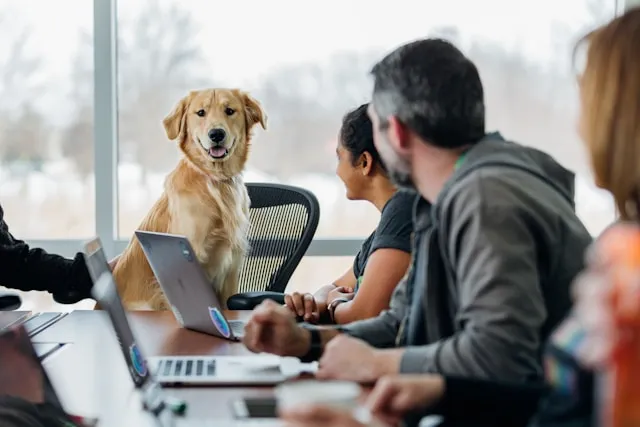 パソコンに向かう人と犬