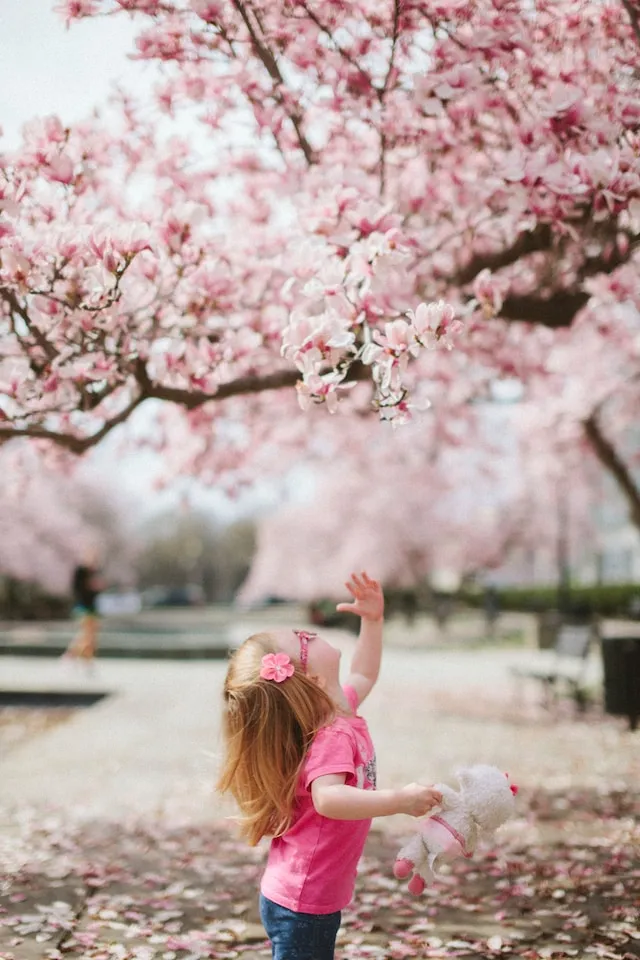 桜の木と子供たち